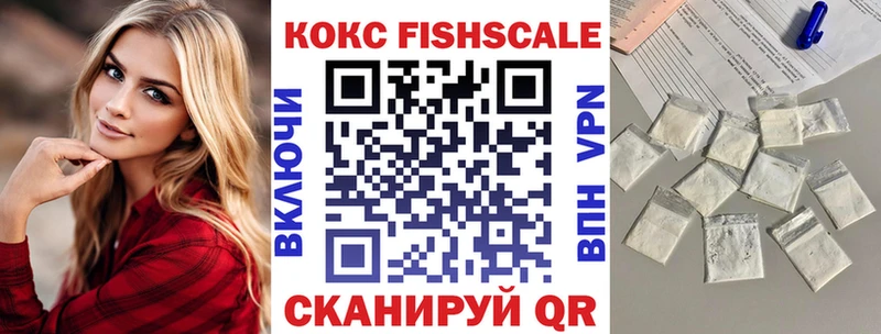 купить наркотики цена  Менделеевск  hydra ONION  КОКАИН Fish Scale 