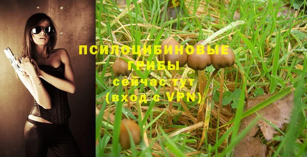 MESCALINE Грязовец