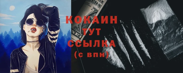 стафф Аркадак