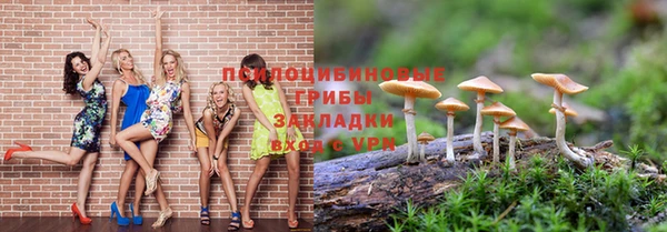 стафф Аркадак