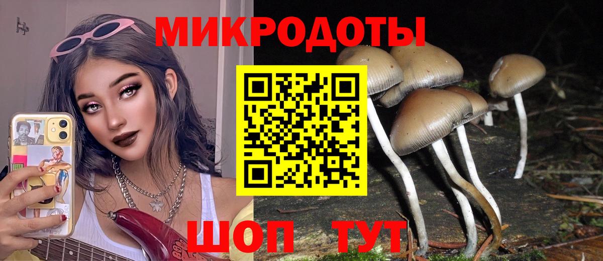 Псилоцибиновые грибы GOLDEN TEACHER Менделеевск