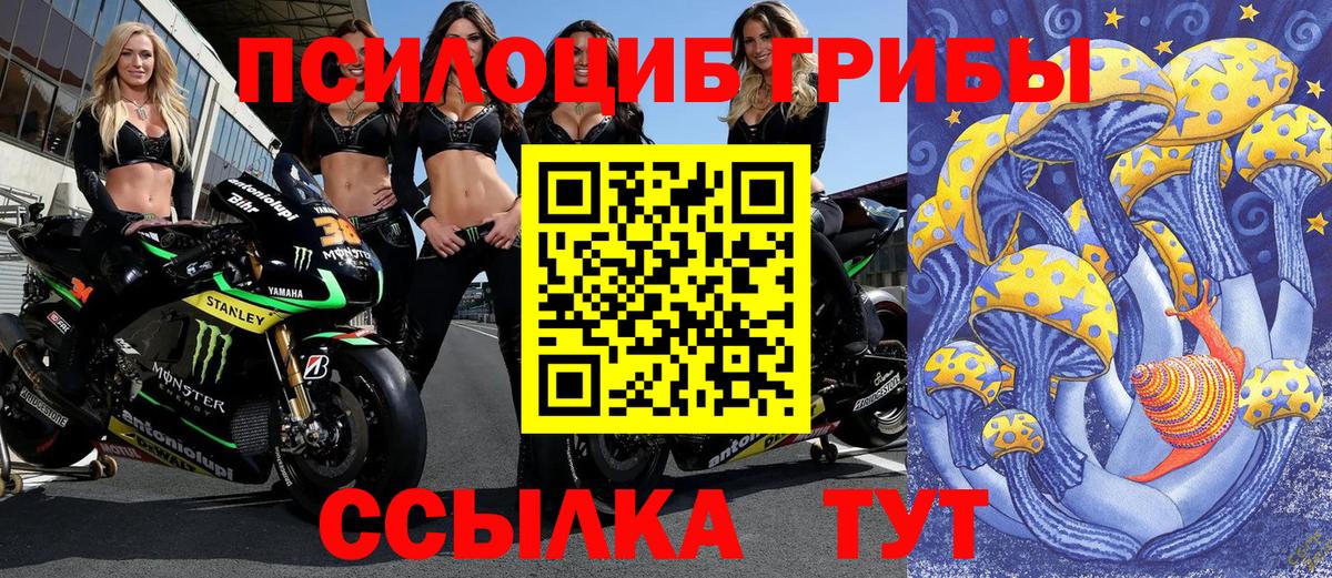 Псилоцибиновые грибы Psilocybe  Вход с VPN  Галлюциногенные грибы ЛСД  продажа наркотиков  Менделеевск 